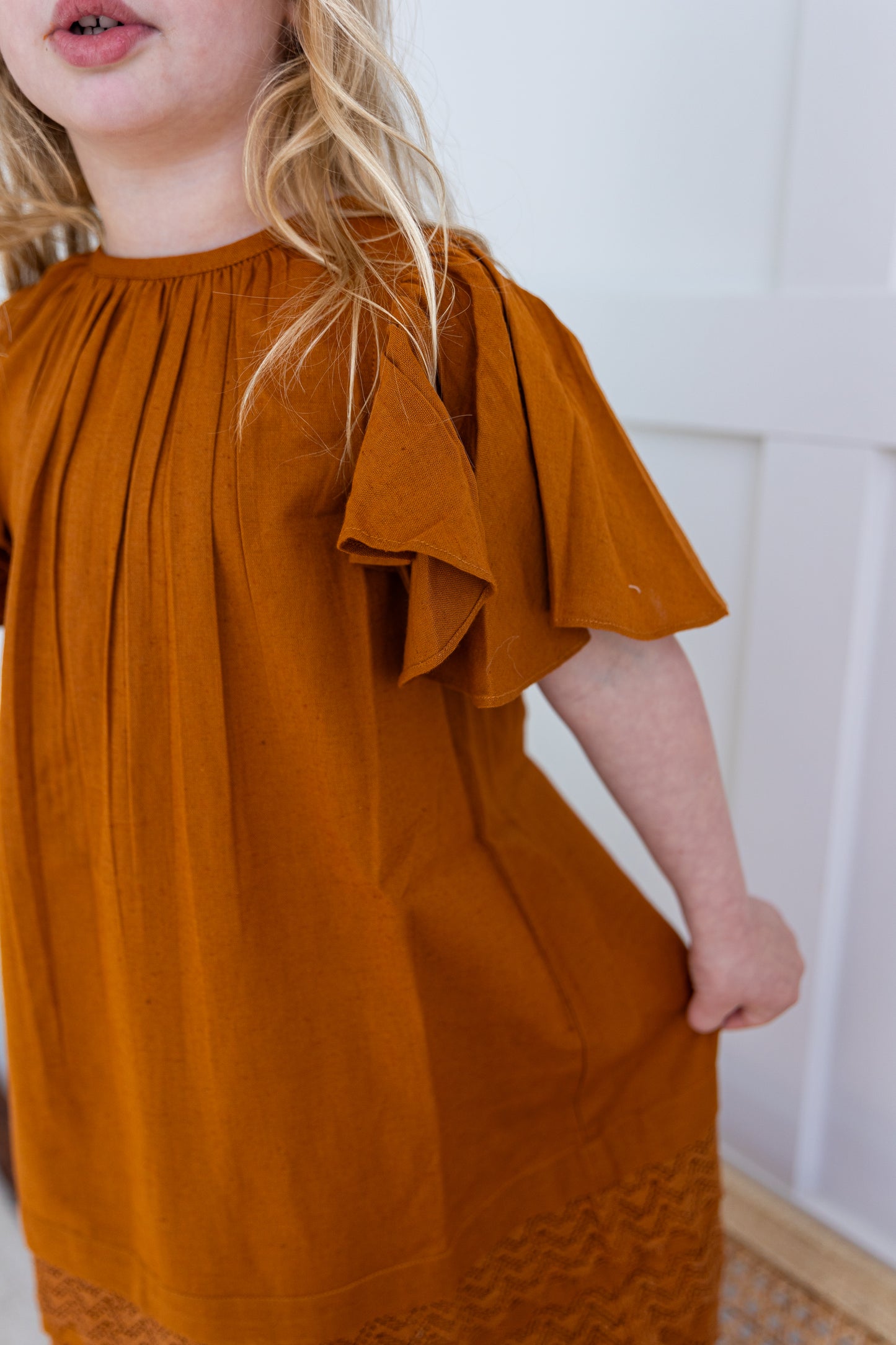 Rust Gathered Sleeve & Neck Dress