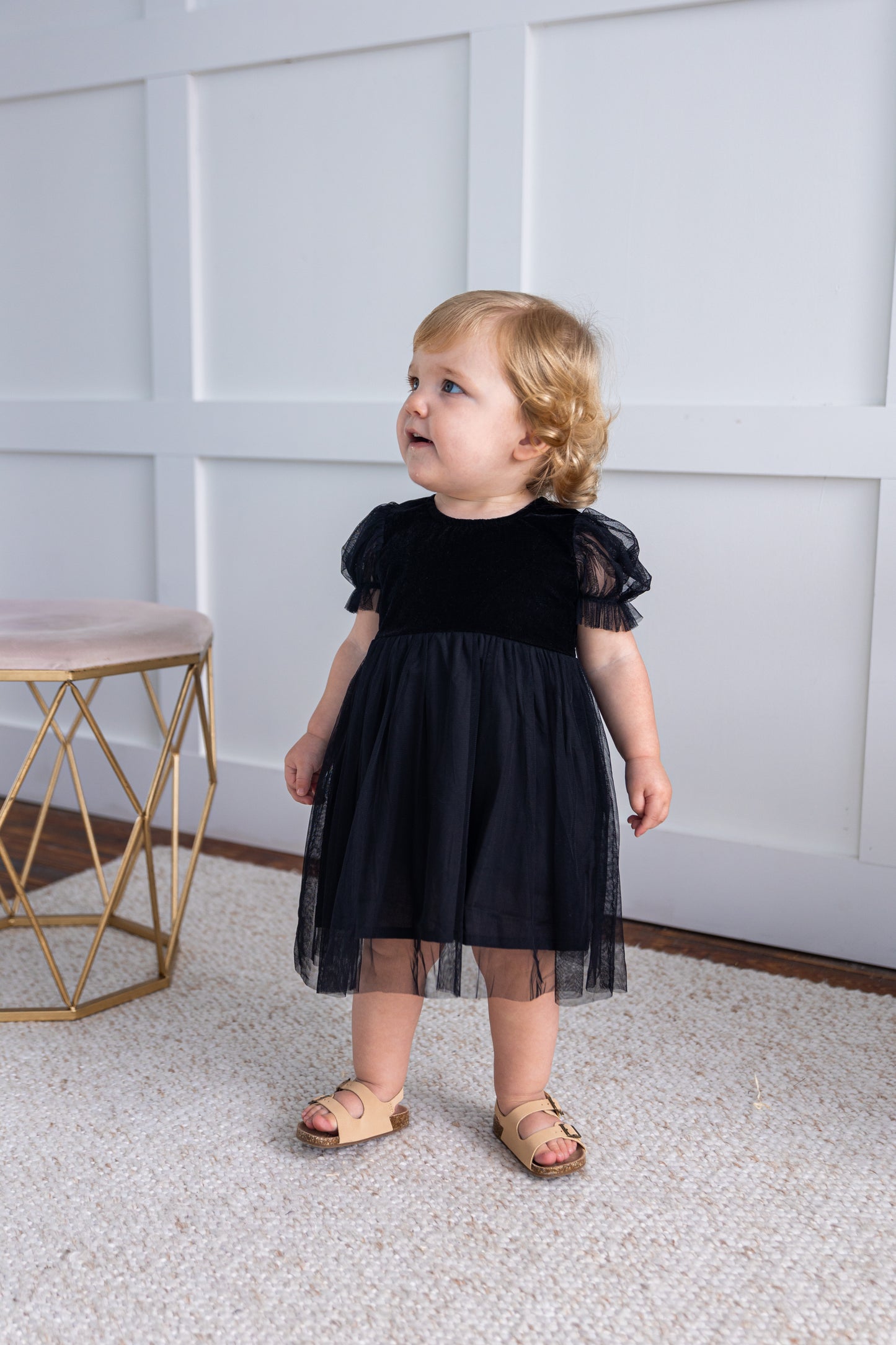 Black Velvet & Tulle Puff Sleeves Gathered Dress