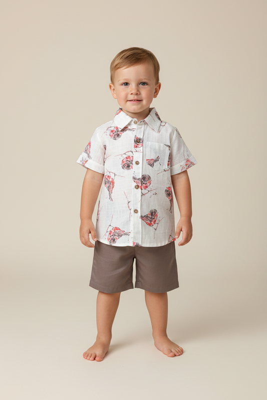 Multi Color Bird Print Boys Shirt & Brown Shorts set