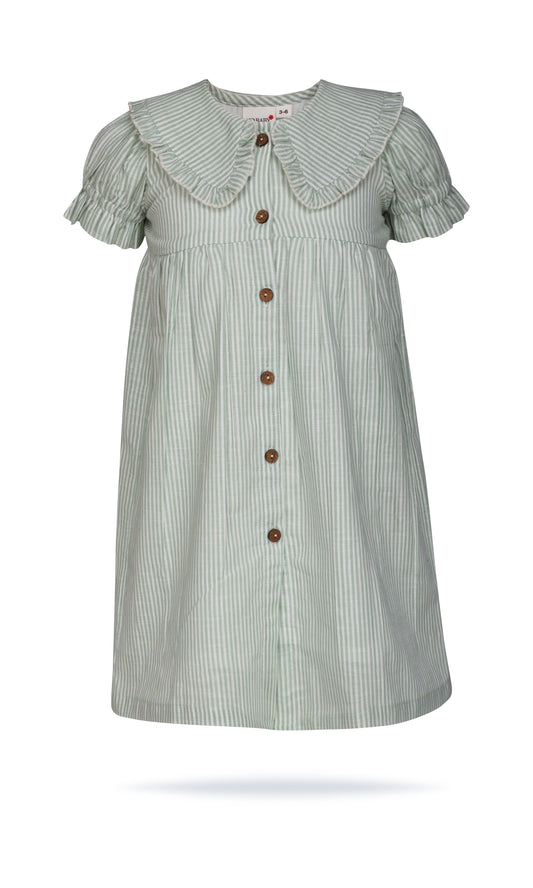 Sage Striped Color Peter Pan Collar Dress